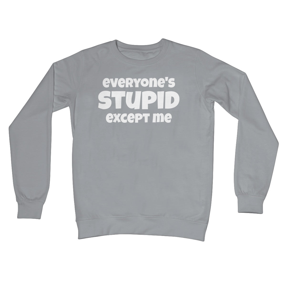 everyone is stupid except me jumper grey