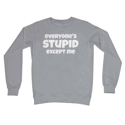 Everyone's Stupid Except Me Jumper - Steel Grey - Funny Jumper