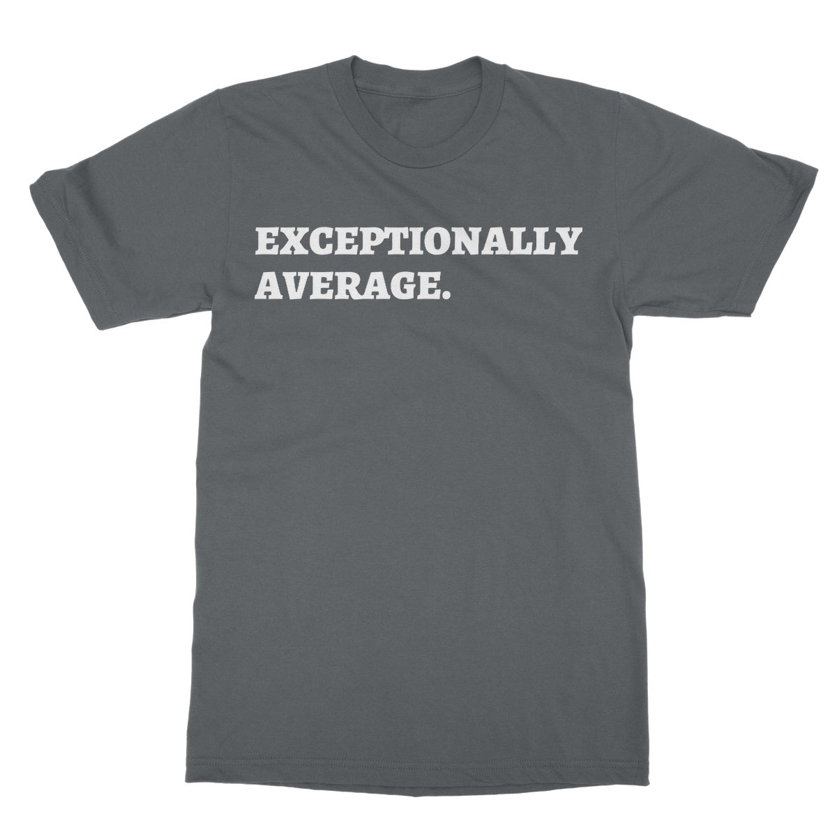 exceptionally average t shirt grey