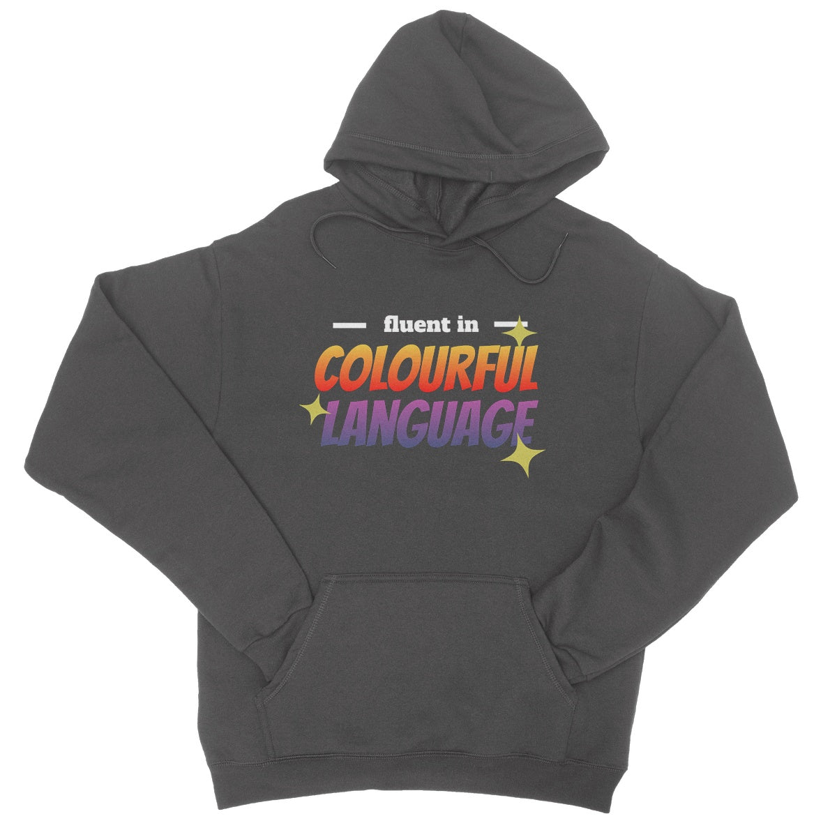 fluent in colourful language hoodie grey