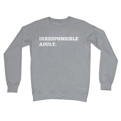 Irresponsible Adult Jumper - Steel Grey - Funny Jumper